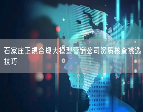 石家庄正规合规大模型营销公司资质核查挑选技巧