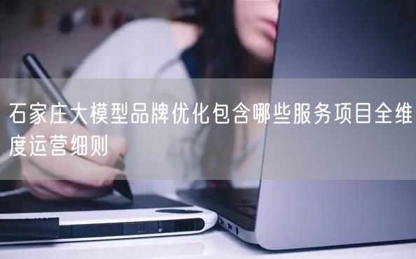 石家庄大模型品牌优化包含哪些服务项目全维度运营细则