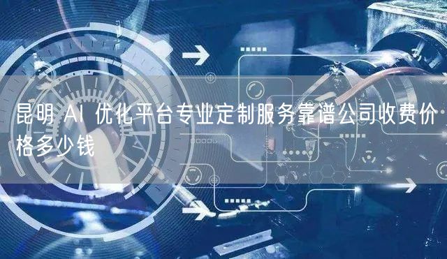 昆明 AI 优化平台专业定制服务靠谱公司收费价格多少钱