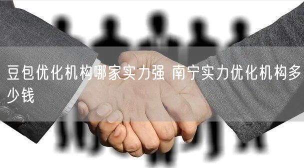 豆包优化机构哪家实力强 南宁实力优化机构多少钱