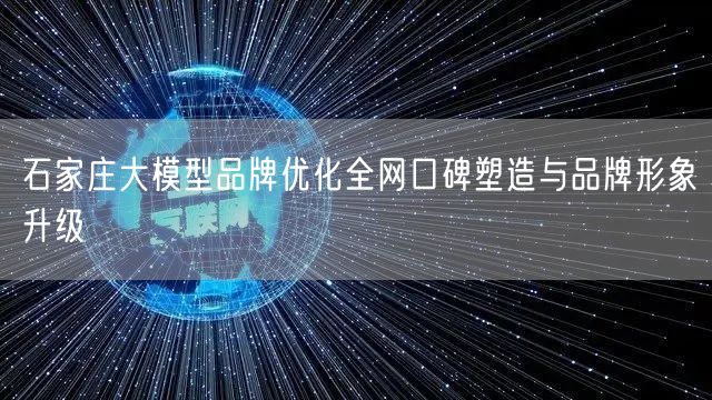 石家庄大模型品牌优化全网口碑塑造与品牌形象升级