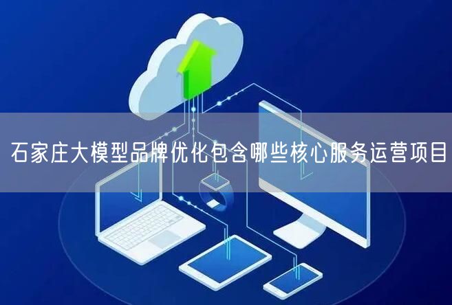 石家庄大模型品牌优化包含哪些核心服务运营项目