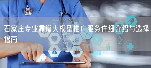 石家庄专业靠谱大模型推广服务详细介绍与选择指南