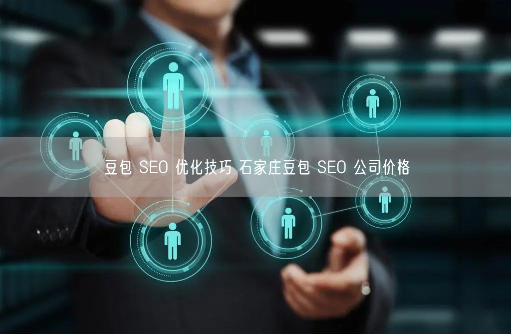 豆包 SEO 优化技巧 石家庄豆包 SEO 公司价格