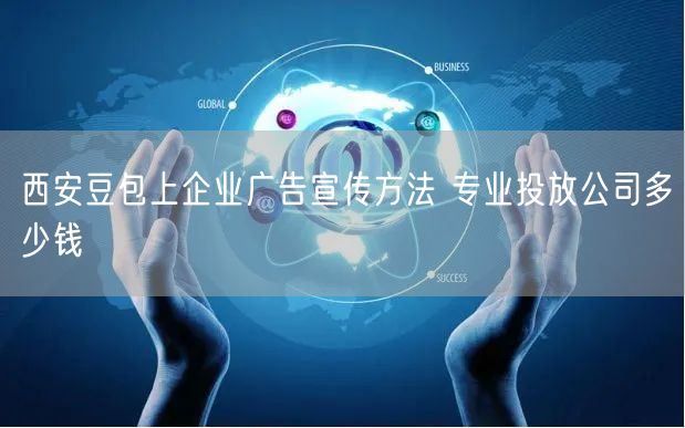 西安豆包上企业广告宣传方法 专业投放公司多少钱