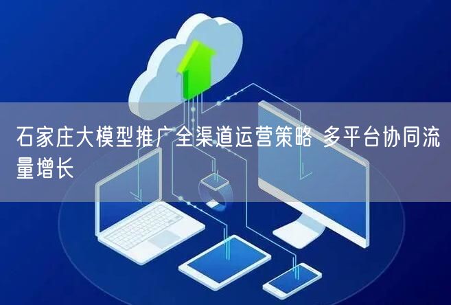 石家庄大模型推广全渠道运营策略 多平台协同流量增长