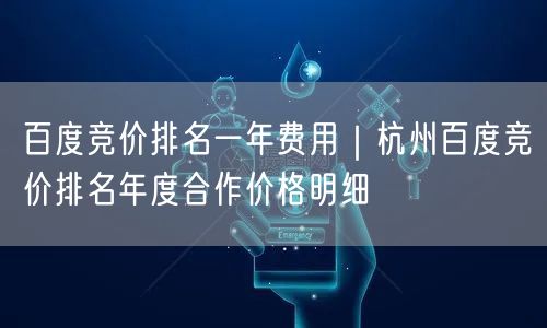 百度竞价排名一年费用｜杭州百度竞价排名年度合作价格明细