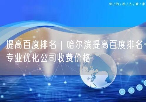 提高百度排名｜哈尔滨提高百度排名专业优化公司收费价格