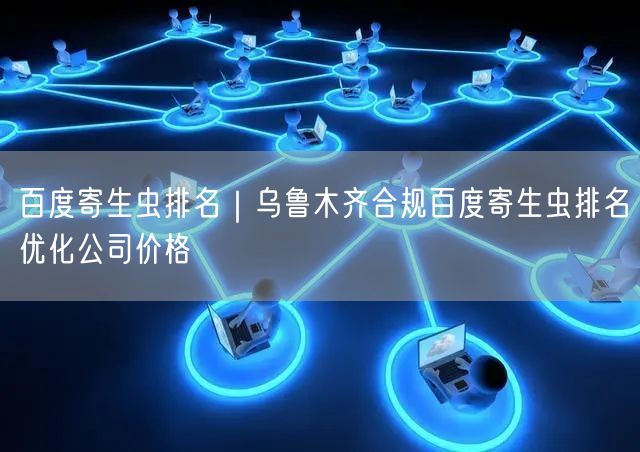 百度寄生虫排名｜乌鲁木齐合规百度寄生虫排名优化公司价格