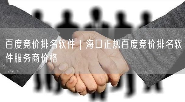 百度竞价排名软件｜海口正规百度竞价排名软件服务商价格