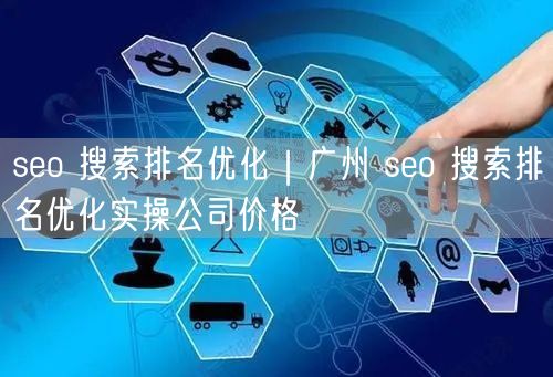 seo 搜索排名优化｜广州 seo 搜索排名优化实操公司价格
