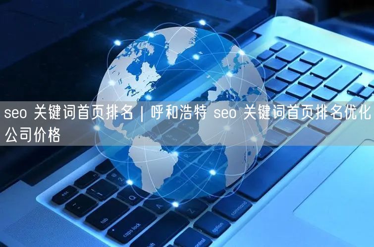 seo 关键词首页排名｜呼和浩特 seo 关键词首页排名优化公司价格
