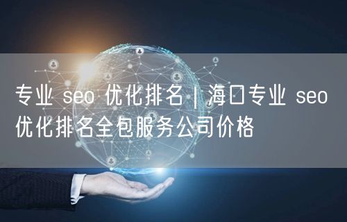 专业 seo 优化排名｜海口专业 seo 优化排名全包服务公司价格