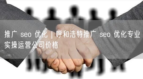 推广 seo 优化｜呼和浩特推广 seo 优化专业实操运营公司价格