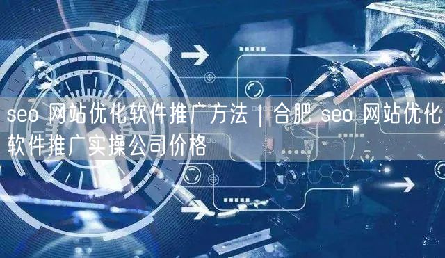 seo 网站优化软件推广方法｜合肥 seo 网站优化软件推广实操公司价格