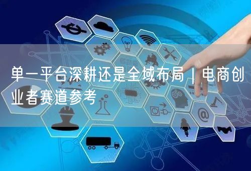 单一平台深耕还是全域布局｜电商创业者赛道参考
