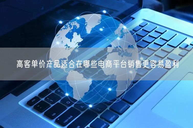 高客单价产品适合在哪些电商平台销售更容易盈利