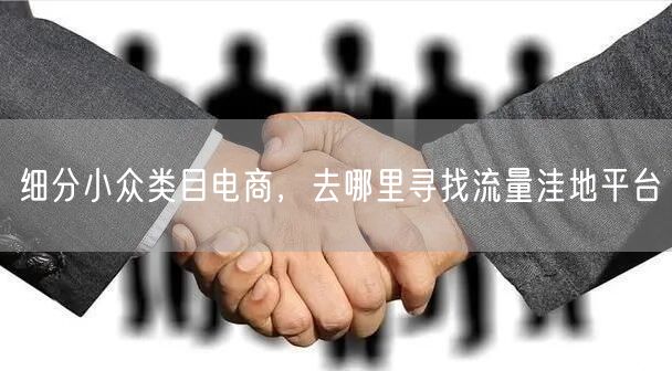 细分小众类目电商，去哪里寻找流量洼地平台