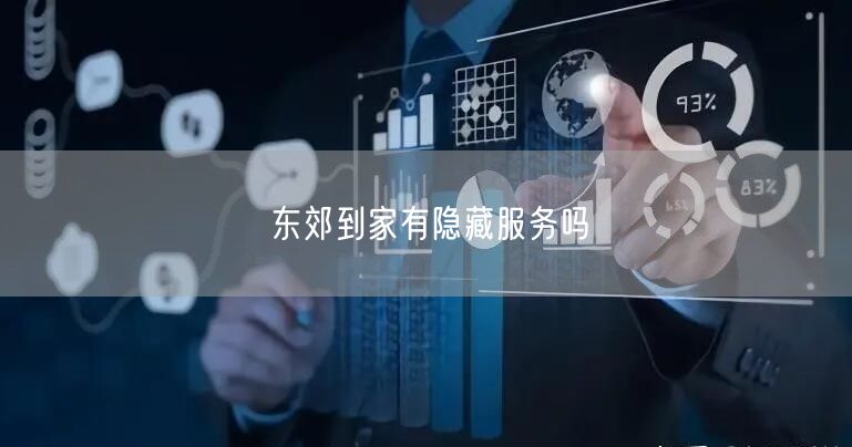 东郊到家隐藏服务争议：上门按摩合规与标准化之辩