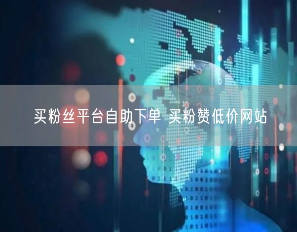 买粉丝平台自助下单 买粉赞低价网站