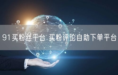 91买粉丝平台 买粉评论自助下单平台