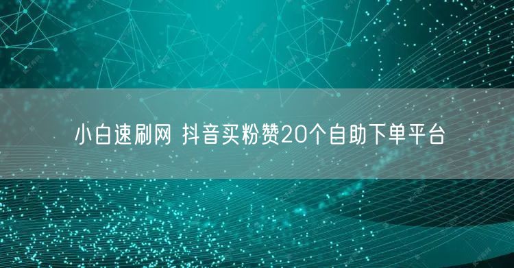 小白速刷网 抖音买粉赞20个自助下单平台