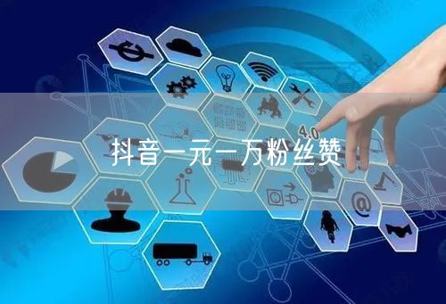 抖音一元一万粉丝赞
