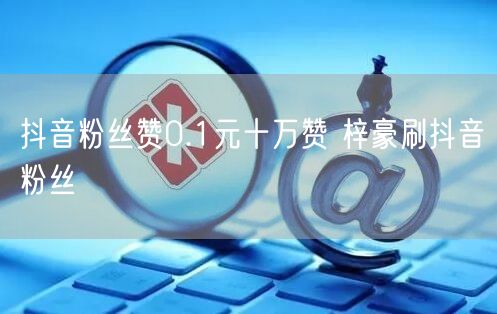 抖音粉丝赞0.1元十万赞 梓豪刷抖音粉丝